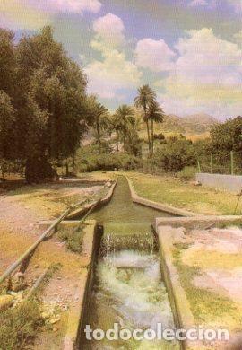 Postcards: POSTAL PV07529: Elisha Spring, Jericho - NULL