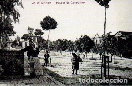 Postcards: POSTAL PV07940: Paseos de Campoamor, Alicante (ver descripcion)