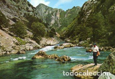 Postkarten: POSTAL PV09340: Pesca del Salmon y Trucha en Rios Asturianos