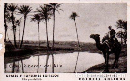 Cartes Postales: POSTAL PV09993: Riberas del Nilo, El Cairo
