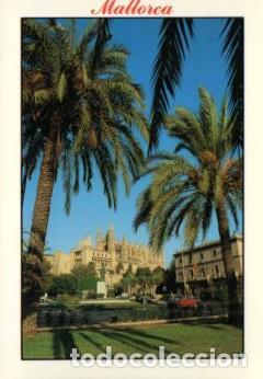 Postcards: POSTAL PV10605: Catedral de Palma de Mallorca