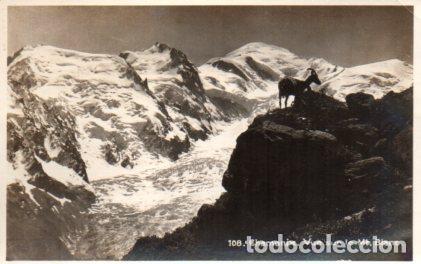 Cartes Postales: POSTAL PV11231: Chamonix vue sur le Mt. Blanc