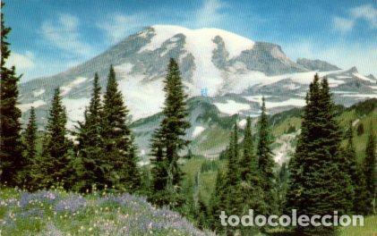 Postkarten: POSTAL PV11235: Mt. Rainer, Washington - NULL