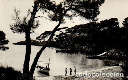 Cartes Postales: POSTAL PV11214: Playa de las Caletas, Puerto de Pollensa