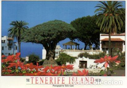 Cartes Postales: POSTAL PV12174: Drago Milenario, Tenerife