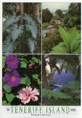 Postales: POSTAL PV12173: Jardines Tropicales, Puerto de la Cruz