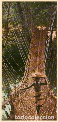 Postales: POSTAL PV12199: Le franchissement des ponts de lianes, Afrique