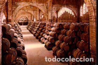 Postales: POSTAL PV12319: Una bodega en Cavas Codorniu - Foto 1