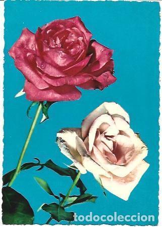 Postales: POSTAL A6528: Rosas - Foto 1