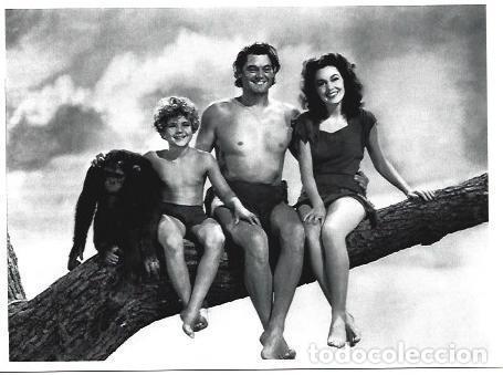Postales: POSTAL A6566: Tarzan, Jane y Boy - Foto 1