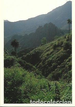 Postcards: POSTAL A7006: Paisaje de La Gomera