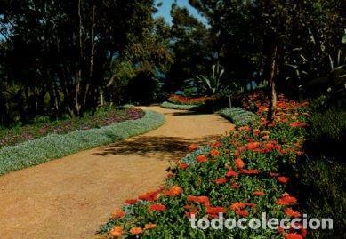Postkarten: POSTAL PV13415: Jardin Botanico Mar i Murtra, Blanes