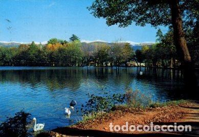 Postcards: POSTAL PV13409: Vista del lago de Puigcerda