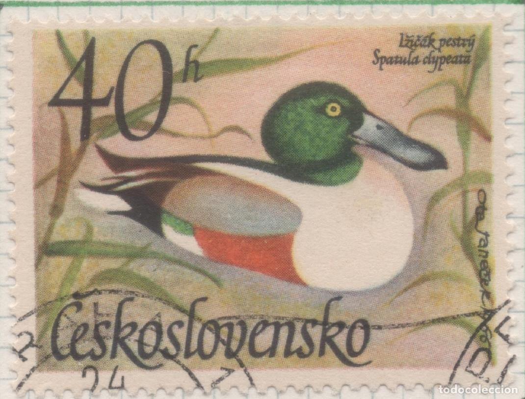 Cartes Postales: Sello E01399: hoja 89, Checoslovaquia: Sello Multicolor, dentado. Pajaros Acuaticos. Anas clypeata,