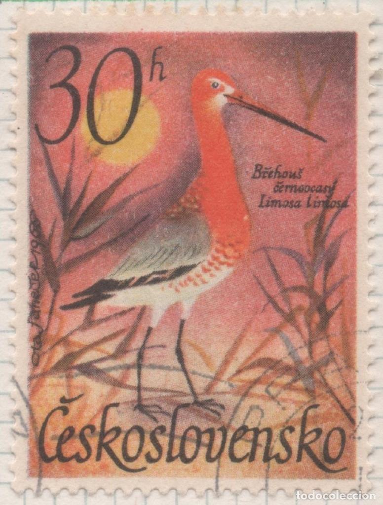 Cartes Postales: Sello E01394: hoja 89, Checoslovaquia: Sello Multicolor, dentado. Pajaros Acuaticos. Limosa limosa,