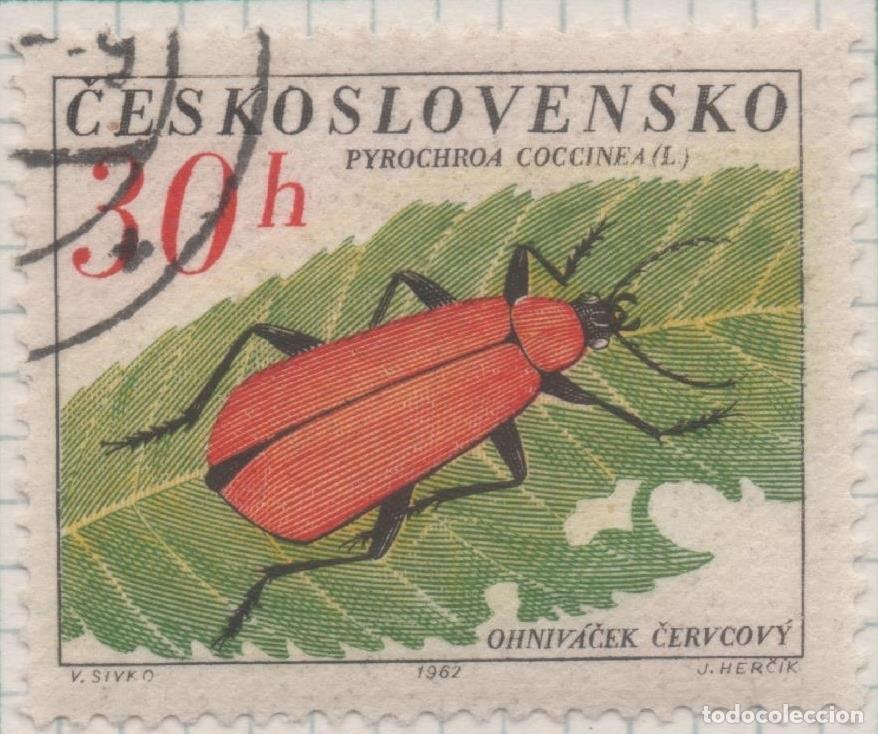 Postcards: Sello E01104: hoja 73, Checoslovaquia: Sello Multicolor dentado. Escarabajos. Escarabajo Cardenal, 3
