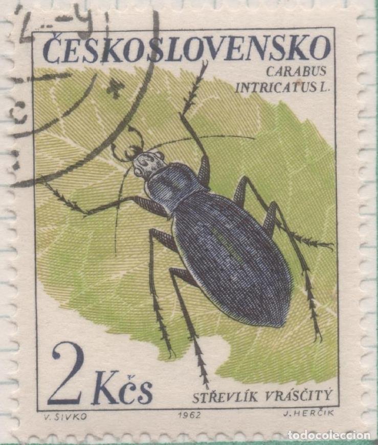 Postcards: Sello E01108: hoja 73, Checoslovaquia: Sello Multicolor dentado. Escarabajos. Dscarabjo de Tierra Az