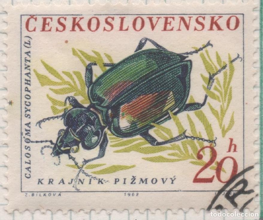 Postcards: Sello E01103: hoja 73, Checoslovaquia: Sello Multicolor dentado. Escarabajos. Escarabajo Calosoma Eu