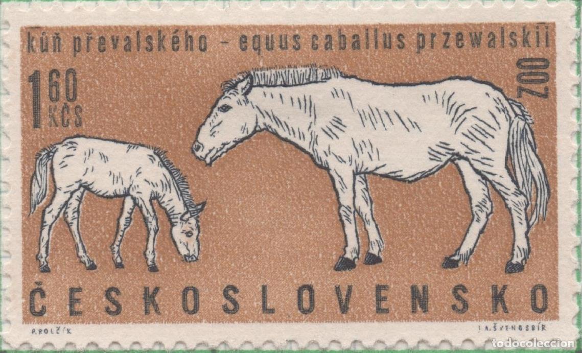 Postales: Sello E01083: hoja 71, Checoslovaquia: Sello Marron y blanco dentado. Aniversario del Zoo de Praga.