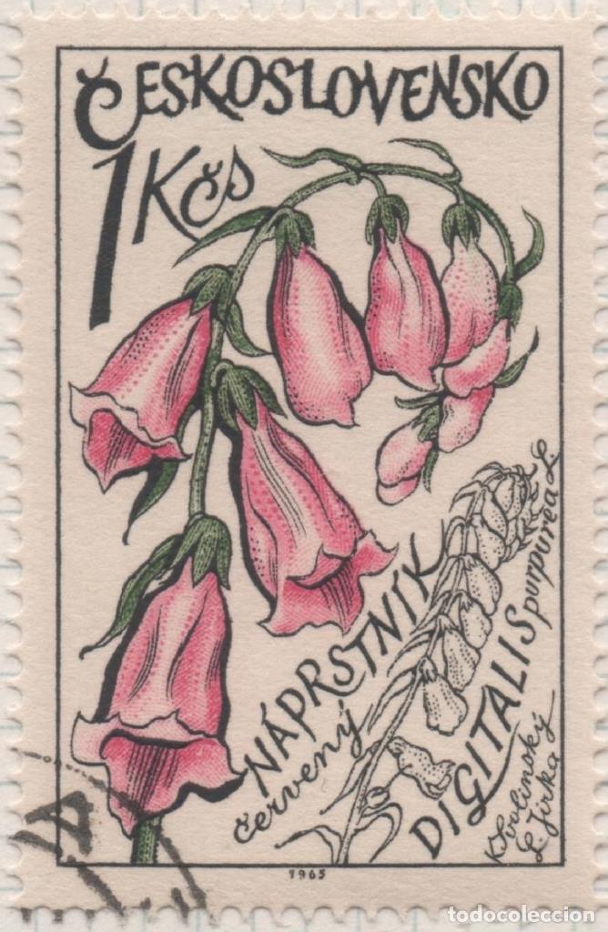 Postkarten: Sello E01312: hoja 84, Checoslovaquia: Sello Multicolor, dentado. Plantas medicinales. Dedalera (Dig