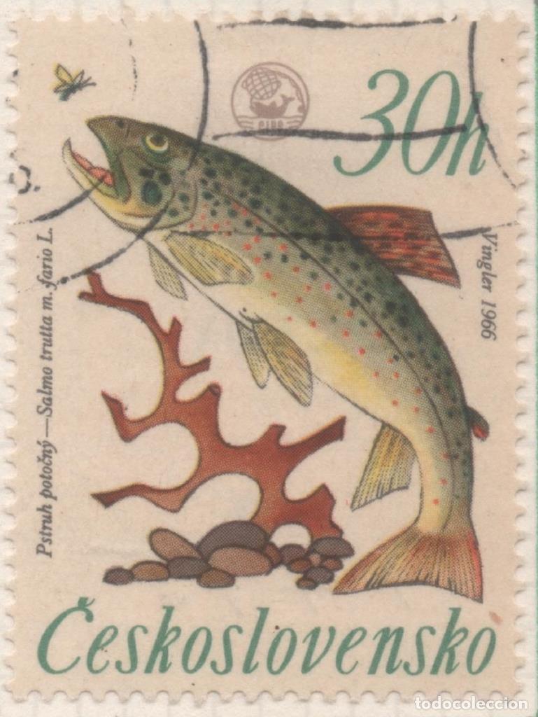 Postkarten: Sello E01336: hoja 85, Checoslovaquia: Sello Multicolor, dentado. Campeonatao de Pesca de Rivera. Tr