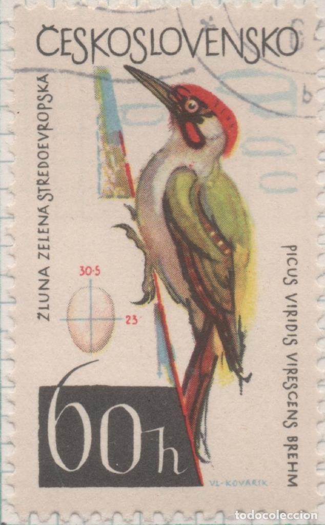 Cartes Postales: Sello E01224: hoja 80, Checoslovaquia: Sello Multicolor, dentado. Pajaros. Picus viridis, 60 Haleru