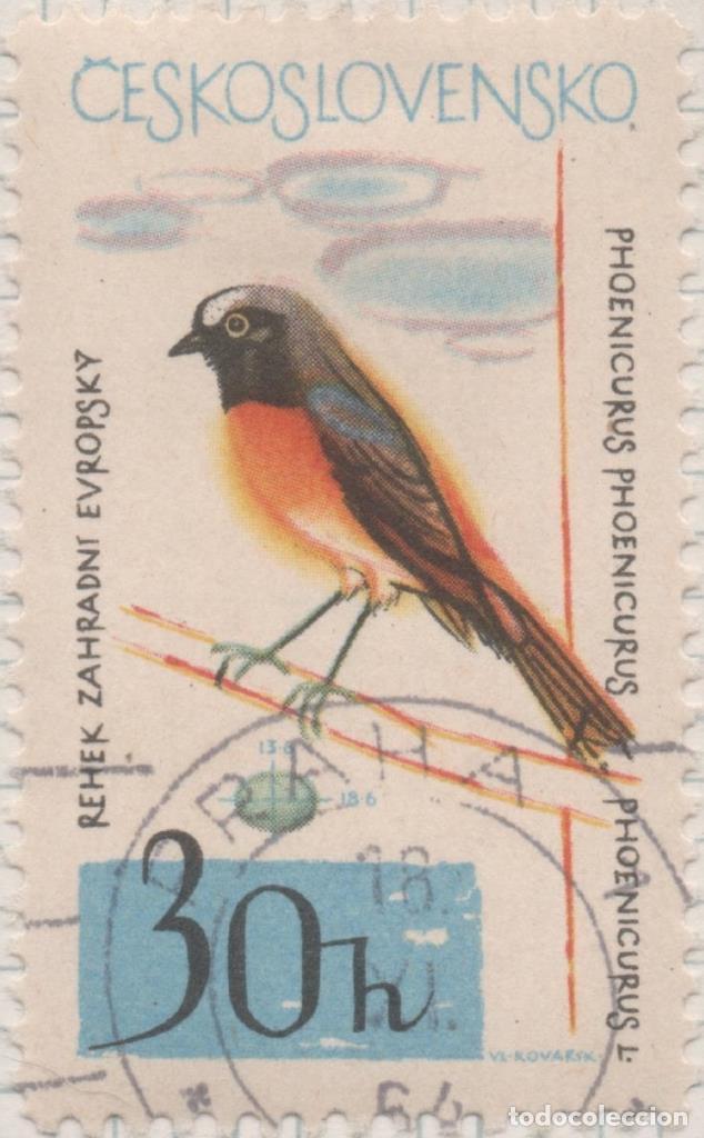 Cartes Postales: Sello E01223: hoja 80, Checoslovaquia: Sello Multicolor, dentado. Pajaros. Phoenicurus phoenicurus,