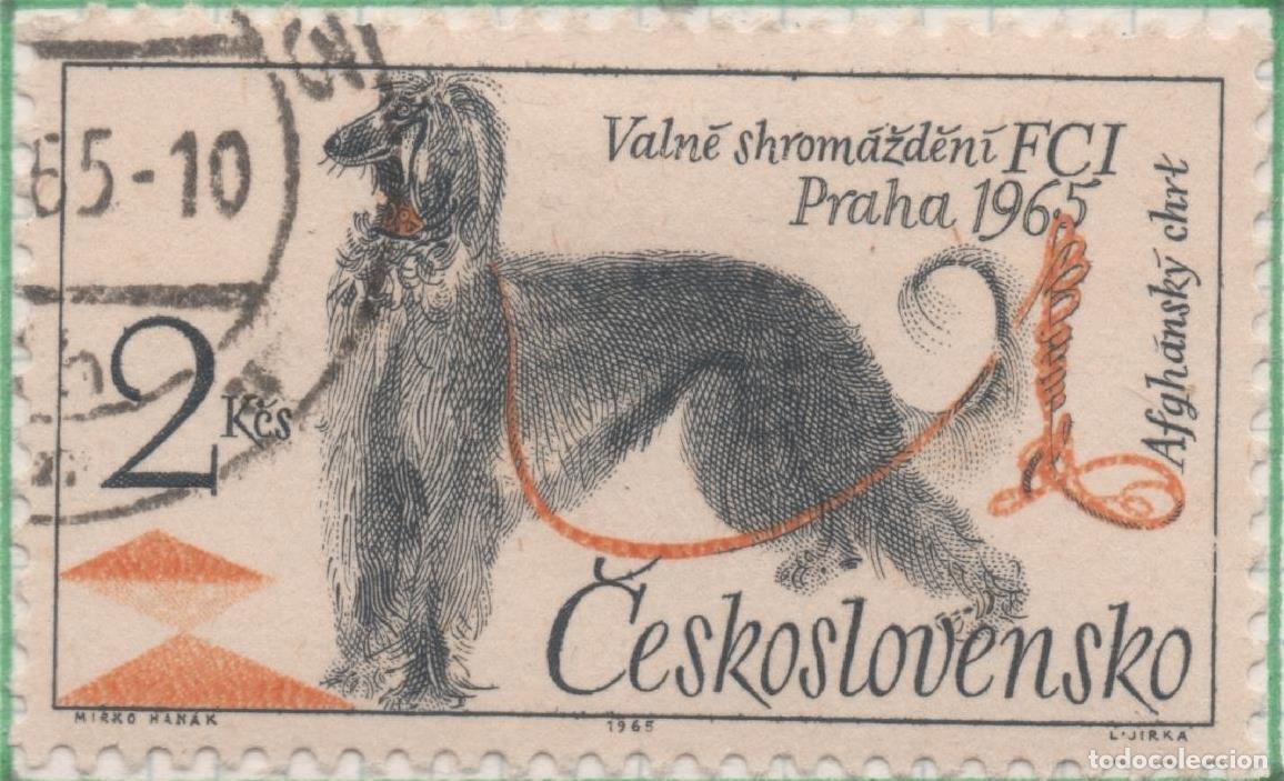 Postcards: Sello E01271: hoja 82, Checoslovaquia: Sello Multicolor, dentado. Exposici&oacute;n Canina. Lebrel afgano -
