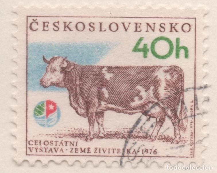 Postais: Sello E01974: hoja 132, Checoslovaquia: Sello Multicolor, dentado. Exposici&oacute;n Agr&iacute;cola Nacional. Vac