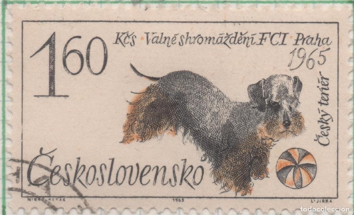 Postais: Sello E01270: hoja 82, Checoslovaquia: Sello Multicolor, dentado. Terrier checo, 1,60 Koruna - Vario