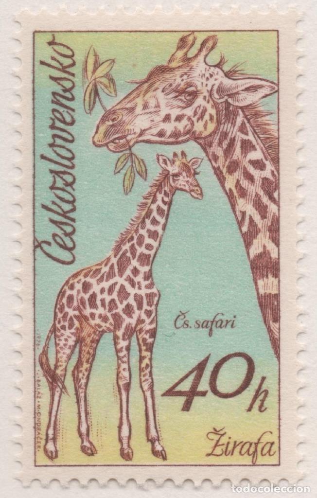 Cartes Postales: Sello E02000: hoja 135, Checoslovaquia: Sello Multicolor, dentado. Parque natural de Dvurkralove. Ji