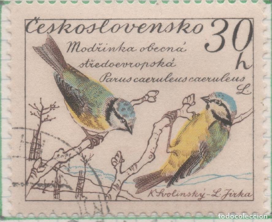 Postkarten: Sello E00921: hoja 62, Checoslovaquia: Sello Multicolor dentado. Pajaros. Parus caeruleus, 30 Haleru