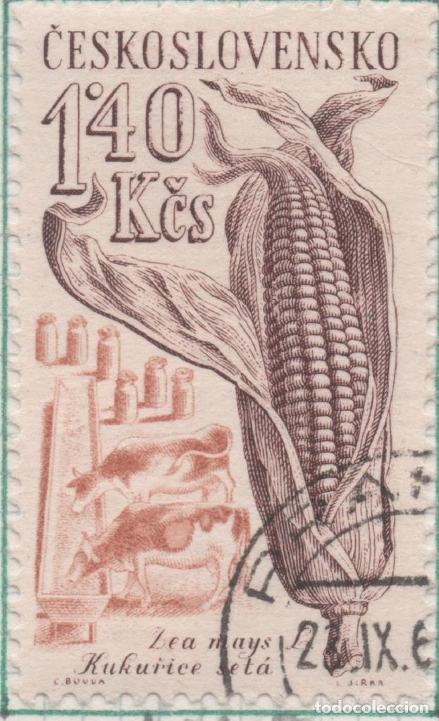Postkarten: Sello E01046: hoja 69, Checoslovaquia: Sello Multicolor dentado. Productos agricolas. Zea mays, 1,40