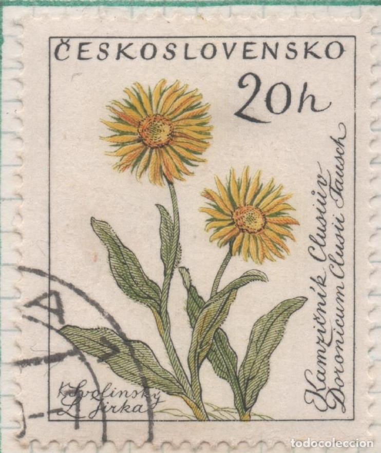 Postales: Sello E00992: hoja 66, Checoslovaquia: Sello Multicolor dentado. Flores. Doronicum clusii, 20 Haleru