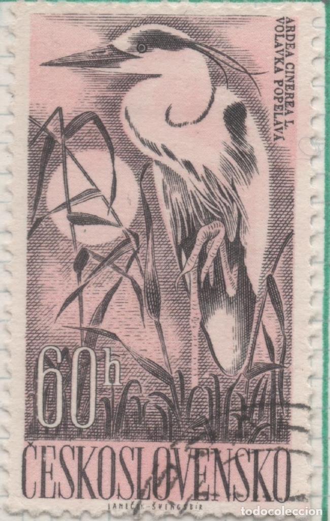 Postales: Sello E00987: hoja 66, Checoslovaquia: Sello Lila y negro dentado. Pajaros acuaticos. Ardea cinerea,