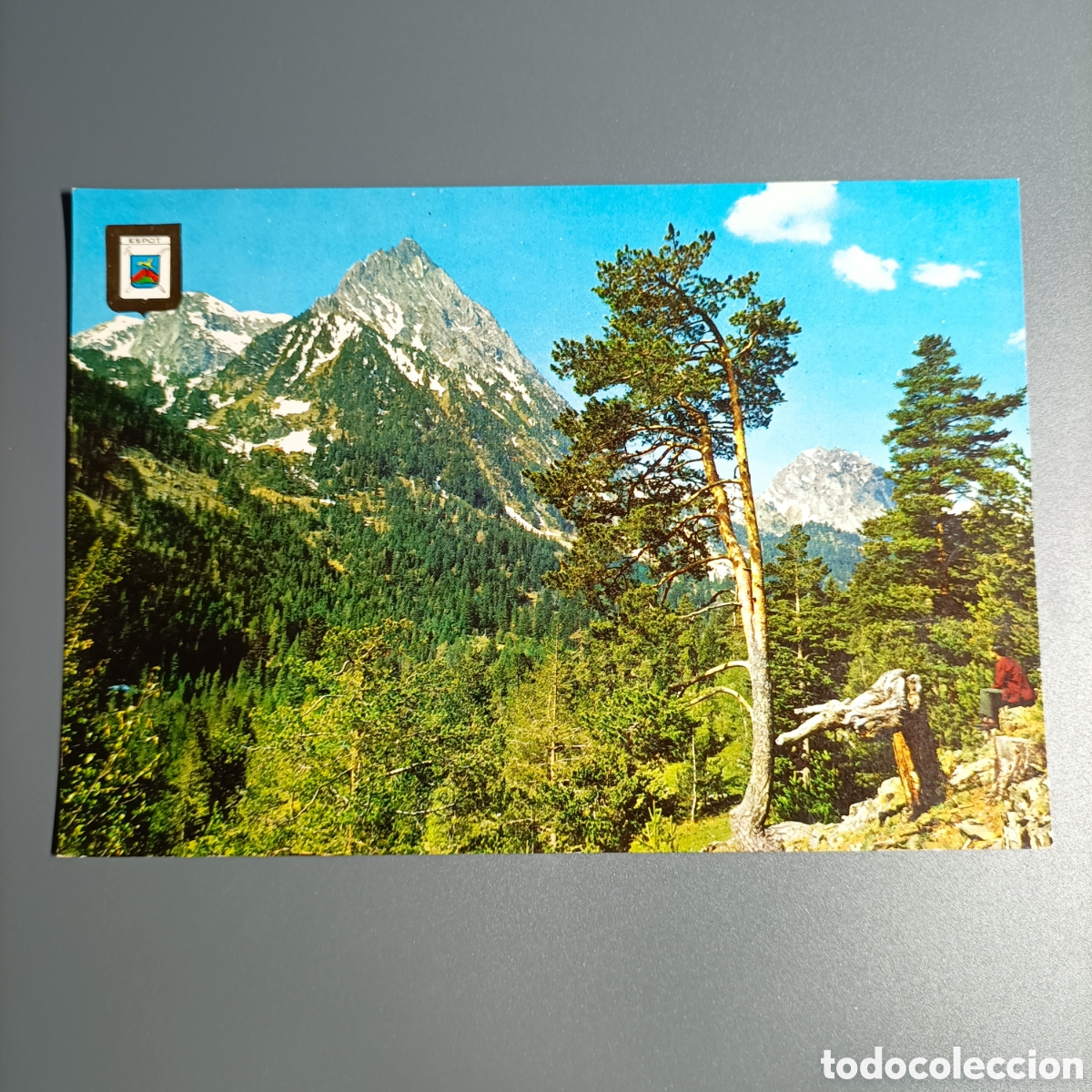 Postales: TARJETA POSTAL SIN CIRCULAR. №909 VALL DESPOT. - Foto 1