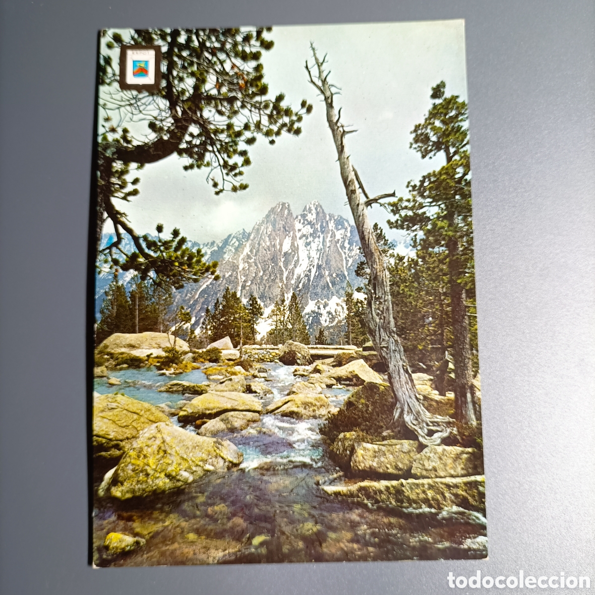 Postales: TARJETA POSTAL CIRCULADA. №910 VALL DESPOT. - Foto 1