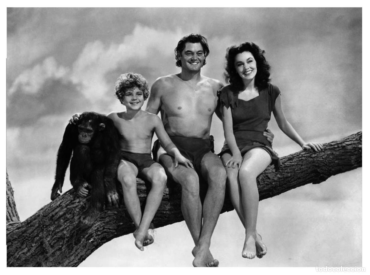 Cartoline: Postal / Postcard: El Boletin serie 7: numero 12 de 12: Tarzan y Jane: Johnny Weissmuller y Maureen
