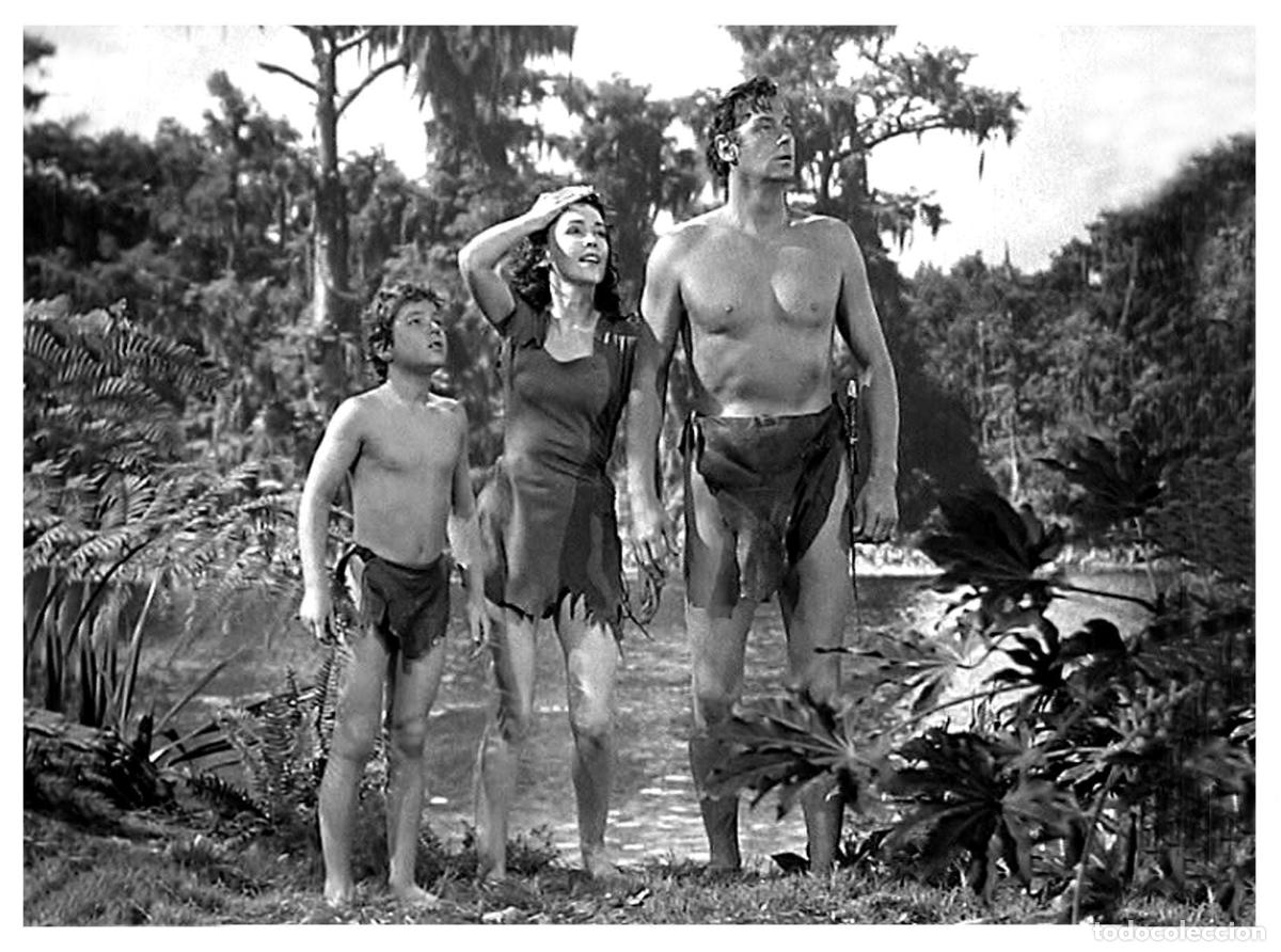 Postkarten: Postal / Postcard: El Boletin serie 7: numero 06 de 12: Tarzan y Jane: Johnny Weissmuller y Maureen