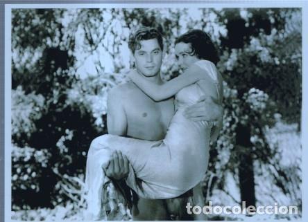 Postcards: Postal / Postcard: El Boletin serie 7: numero 07 de 12: Tarzan y Jane: Johnny Weissmuller y Maureen