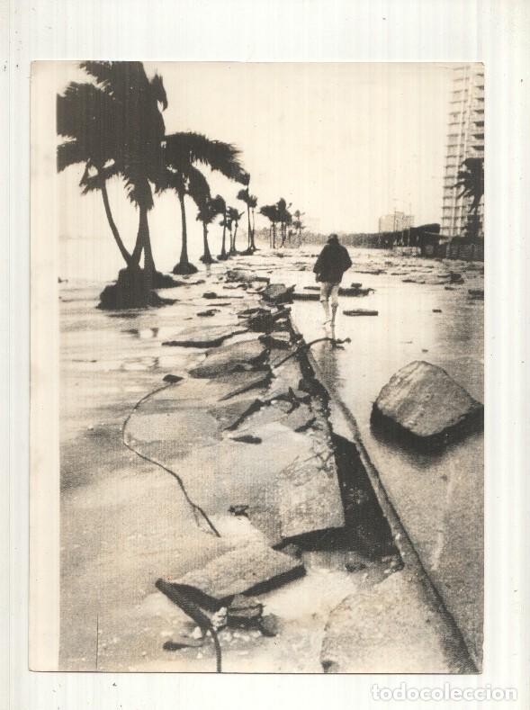 Postkarten: Foto Prensa numero 139: Fort Laudernale al paso del huracan David - Varios