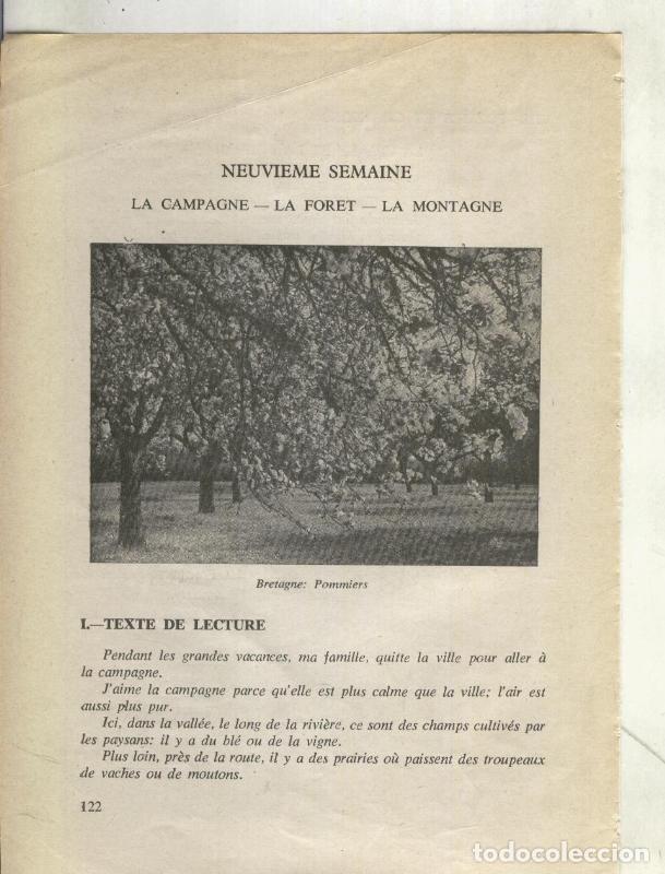 Postkarten: Foto: Bretagne: Pommiers - Varios