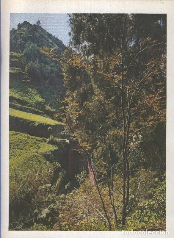 Cartes Postales: Gran Canaria: Lamina 33: Camino de las cumbres - Varios