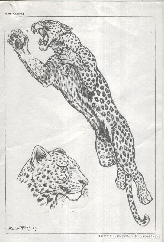 Postais: Lamina Emilio Freixas numerada 12: Leopardo - Varios