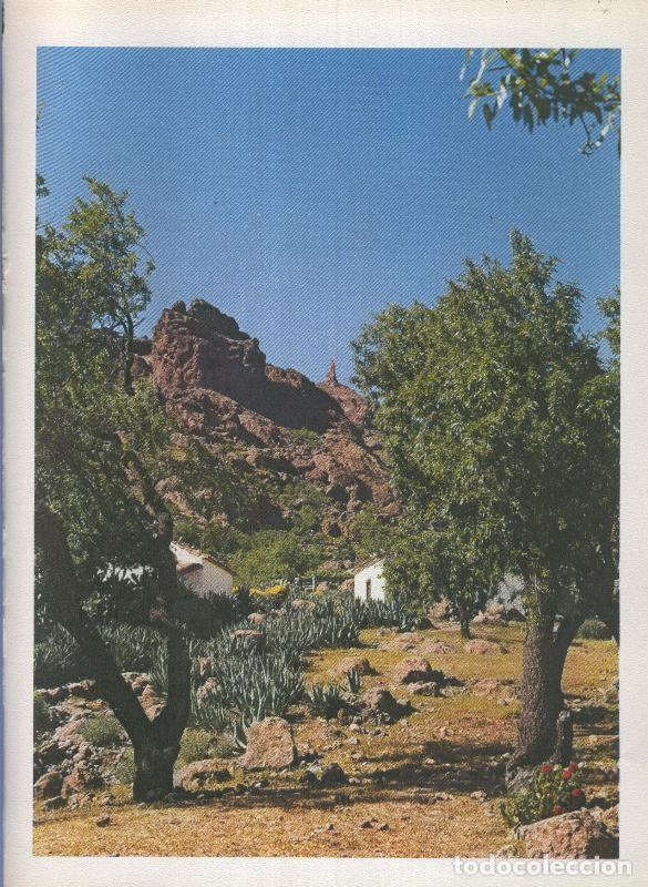 Cartoline: Gran Canaria: Lamina 43: Valle de Tejeda - Varios