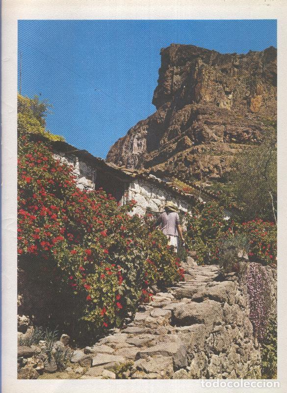 Postais: Gran Canaria: Lamina 38: Casa a pie de Timagada - Varios