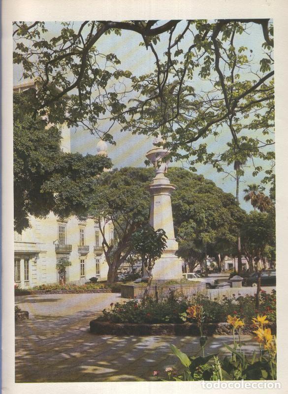 Postais: Gran Canaria: Lamina 48: Vieja alameda de Colon - Varios