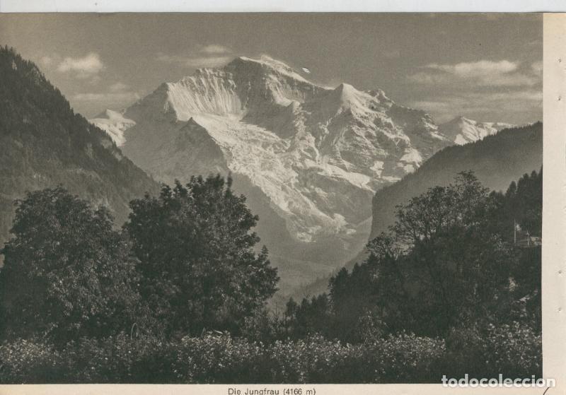 Postkarten: Berner Oberland: Die Jungfrau - Varios