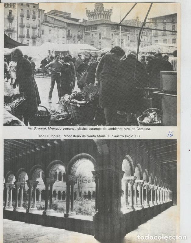 Postales: Catalu&ntilde;a y sus comarcas, fotografia numerada 16 - Varios