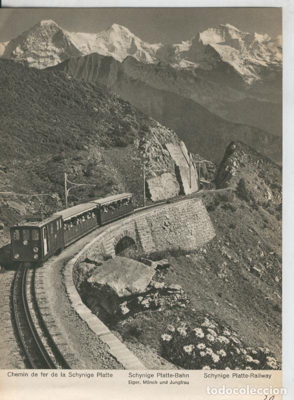 Cartoline: Berner Oberland: Chemin de fer de la Schynige Platte - Varios
